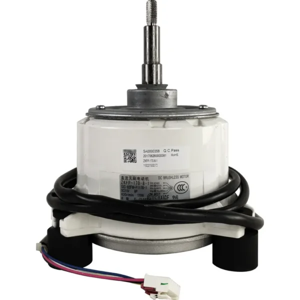 Brushless Motor, 170, 310v, 170w
