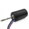Brushless Waterproof Anti-corrosion Motor, APISQUEEN, 36V