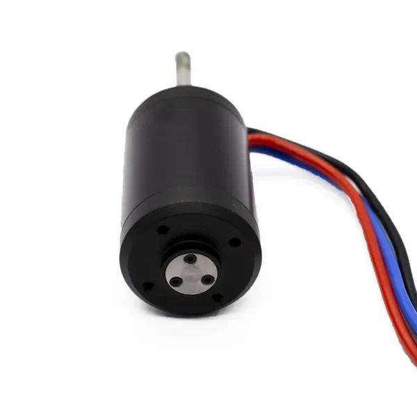 Brushless Waterproof Anti-corrosion Motor, APISQUEEN, 36V - view 3