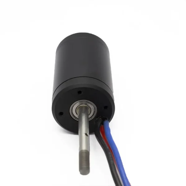 Brushless Waterproof Anti-corrosion Motor, APISQUEEN, 36V - view 5