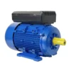 Capacitor Run Asynchronous Motor, YL90L-2, 220V, 1-Phase