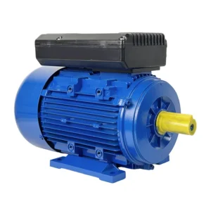 Capacitor Run Asynchronous Motor, YL90L-2, 220V, 1-Phase