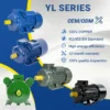 Capacitor Run Asynchronous Motor, YL90L-2, 220V, 1-Phase - view 2