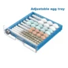 Capacity Eggs Incubator Fan, 64PCS, 110v, PP - view 3