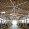 Cattle Farm Hvls Fan, JULAI, 18ft, 5.5m, 1.5KW - view 2