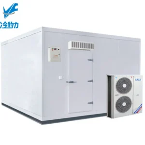 Cbm Freezer, 220, R22