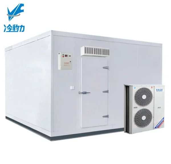 Cbm Freezer, 220, R22