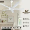 Ceiling Fan