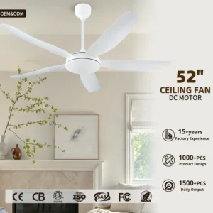 Ceiling Fan