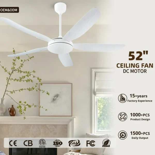 Ceiling Fan