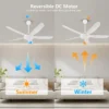 Ceiling Fan - view 2