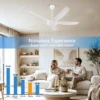 Ceiling Fan - view 3