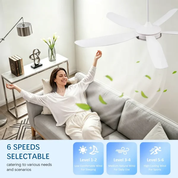 Ceiling Fan - view 4