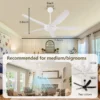 Ceiling Fan - view 5