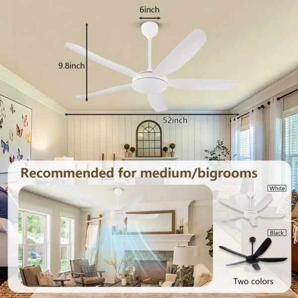 Ceiling Fan - view 5