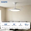 Ceiling Fan, 110-220, WD450006 - view 2