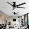 Ceiling Fan, 110-220V, 35 W