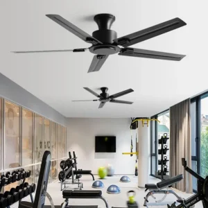 Ceiling Fan, 110-220V, 35 W
