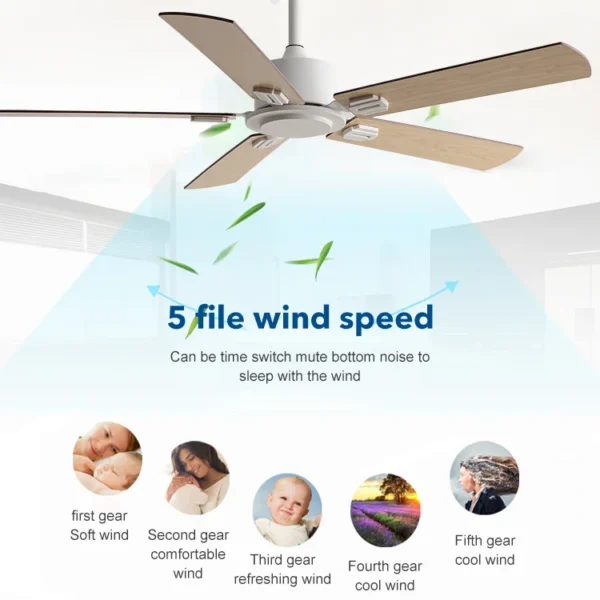 Ceiling Fan, 110-220V, 35 W - view 5