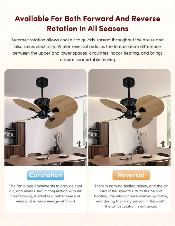 Ceiling Fan, 110v, 3D - view 5