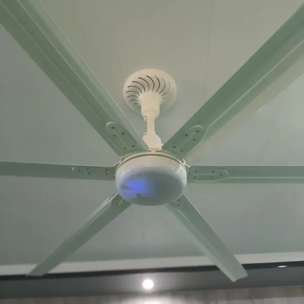 Ceiling Fan, 120, BLDC - view 4