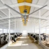 Ceiling Fan, 12ft, 3600mm, PMSM, Roof - view 2