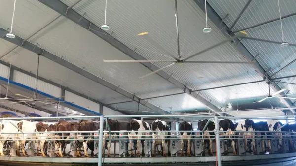 Ceiling Fan, 18FT, HVLS, 5.5M - view 6