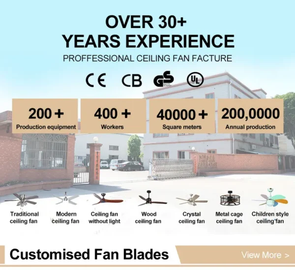 Ceiling Fan, 220, Electric - view 6