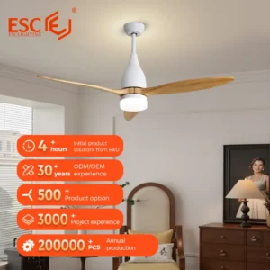 Ceiling Fan, 220v, 110v