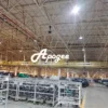Ceiling Fan, 24ft, 20ft, 16ft, 12ft - view 5