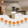 Ceiling Fan, 265V, 30W LED Light, Metal - view 5