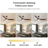 Ceiling Fan, 35W&65W, Metal - view 6