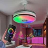 Ceiling Fan, 42-Inch, RGB, LED
