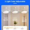 Ceiling Fan, 48, JXL300-2 - view 5