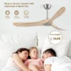 Ceiling Fan, 52/60inch, LED, BLDC - view 4