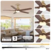 Ceiling Fan, 52", BLDC, Copper - view 6