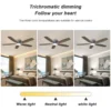 Ceiling Fan, 52-Inch, 10, Metal - view 2