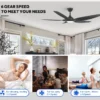 Ceiling Fan, 52-Inch, 10, Metal - view 5