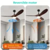 Ceiling Fan, 52-Inch, LED - view 5