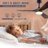 Ceiling Fan, 52-Inch, LED - view 6