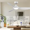 Ceiling Fan, 52-Inch, LED, ABS - view 6
