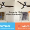 Ceiling Fan, 52-Inch, LED, ABS, 220V - view 6