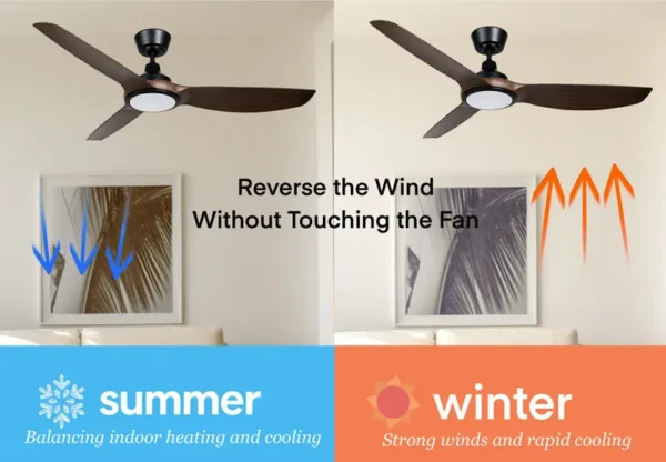 Ceiling Fan, 52-Inch, LED, ABS, 220V - view 6