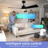 Ceiling Fan, 52Inch, APP - view 2