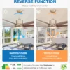 Ceiling Fan, 6-Speed, LED - view 3