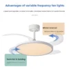 Ceiling Fan, 6-Speed, LED, 10-Year - view 3