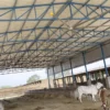 Ceiling Fan, 7.3m, 24FT, HVLS - view 2