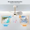 Ceiling Fan, ABS - view 3