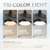 Ceiling Fan, Abs, 3 ABS Blades, AR-CFL-CB-1028-BK - view 3