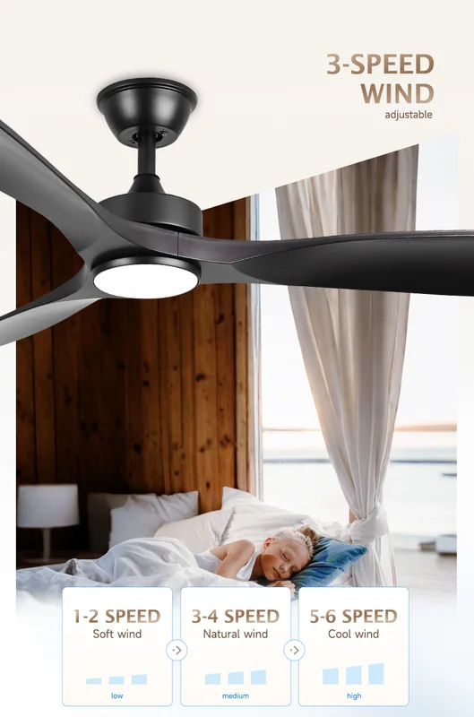 Ceiling Fan, Abs, APP - view 2